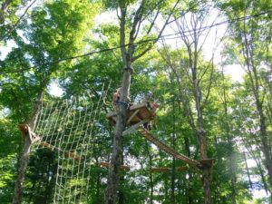 Activity Profile High Ropes