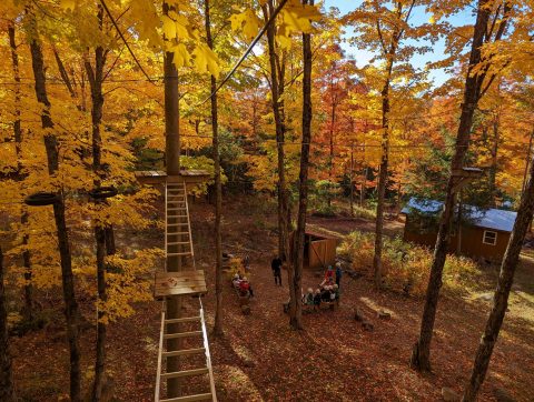 Cedar Ridge high ropes course with autumn colours
